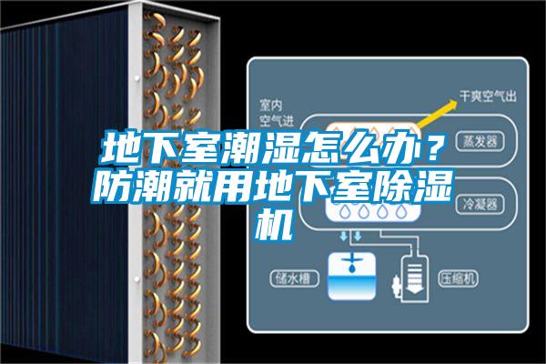 地下室潮濕怎么辦？防潮就用地下室除濕機