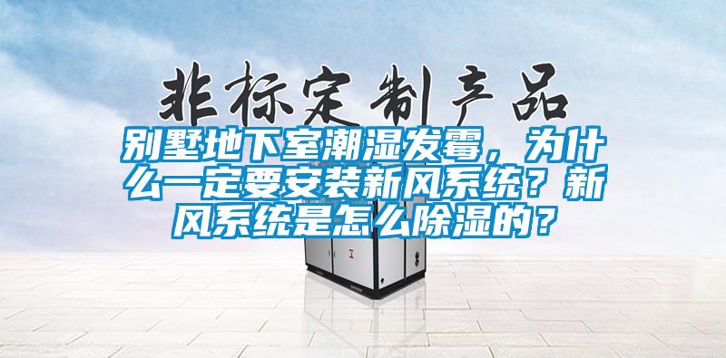 別墅地下室潮濕發霉，為什么一定要安裝新風系統？新風系統是怎么除濕的？