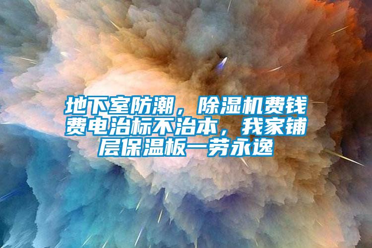 地下室防潮，除濕機費錢費電治標不治本，我家鋪層保溫板一勞永逸