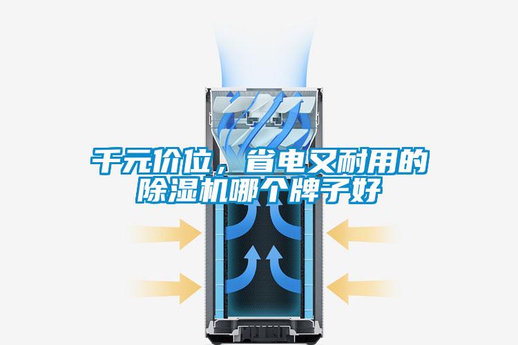 千元價位，省電又耐用的除濕機哪個牌子好