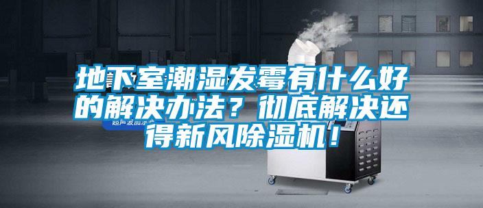 地下室潮濕發霉有什么好的解決辦法？徹底解決還得新風除濕機！