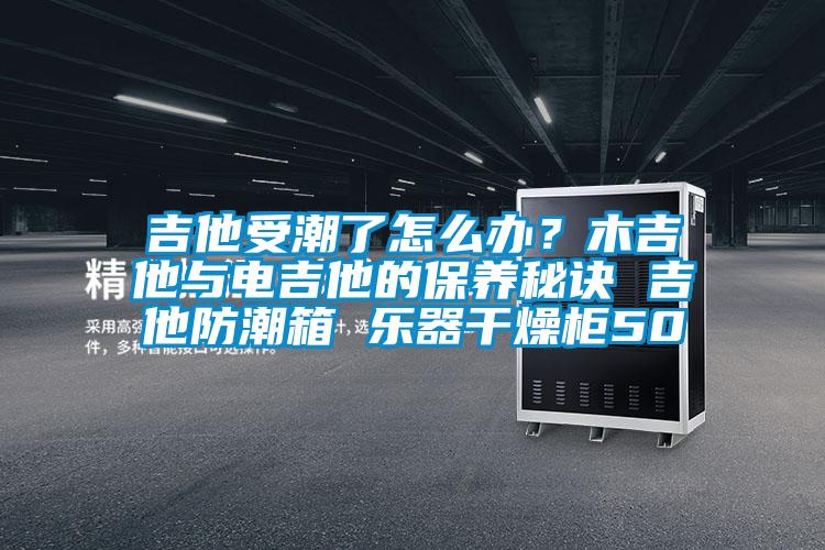 吉他受潮了怎么辦？木吉他與電吉他的保養秘訣 吉他防潮箱 樂器干燥柜50