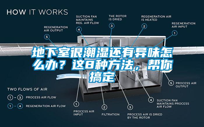 地下室很潮濕還有異味怎么辦？這8種方法，幫你搞定