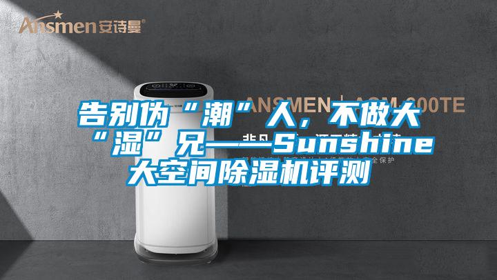 告別偽“潮”人，不做大“濕”兄——Sunshine大空間除濕機評測