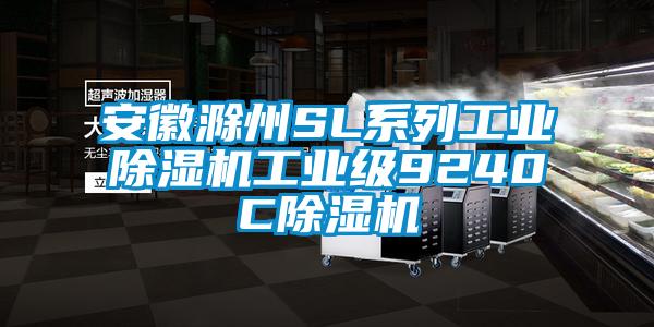 安徽滁州SL系列工業(yè)除濕機工業(yè)級9240C除濕機