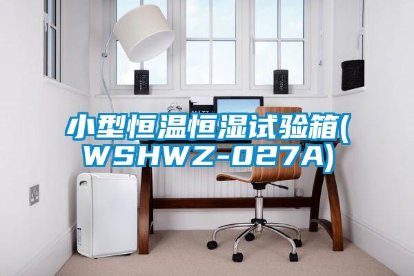 小型恒溫恒濕試驗箱(WSHWZ-027A)