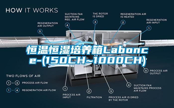 恒溫恒濕培養箱Labonce-(150CH~1000CH)