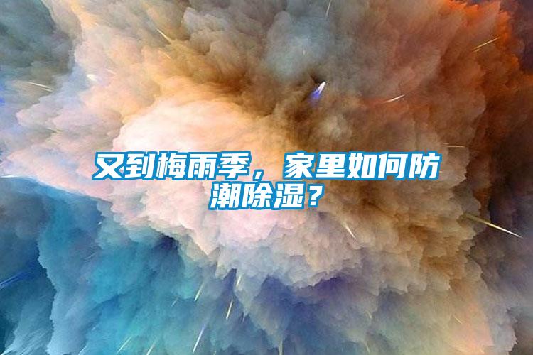 又到梅雨季，家里如何防潮除濕？