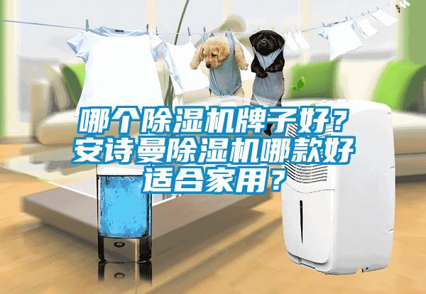 哪個除濕機牌子好？安詩曼除濕機哪款好適合家用？