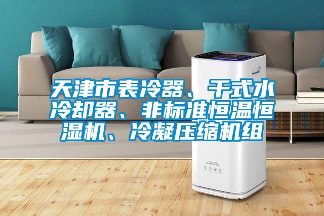 天津市表冷器、干式水冷卻器、非標準恒溫恒濕機、冷凝壓縮機組