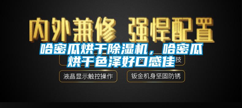 哈密瓜烘干除濕機，哈密瓜烘干色澤好口感佳