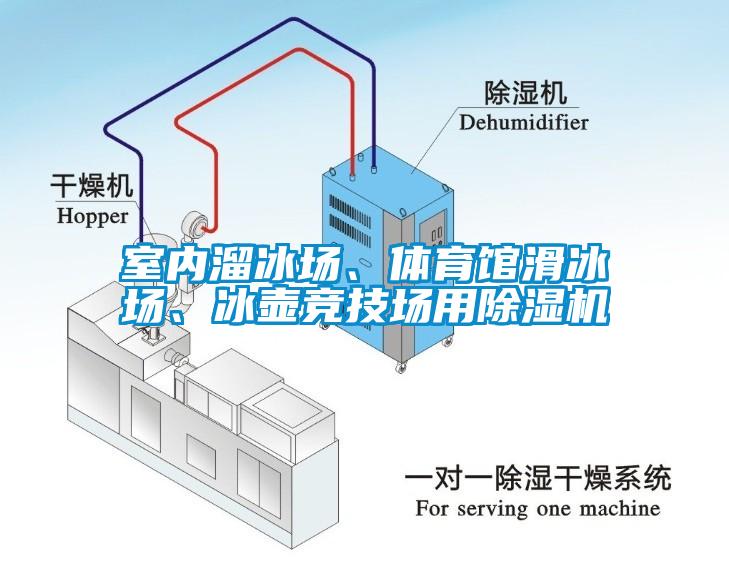 室內溜冰場、體育館滑冰場、冰壺競技場用除濕機