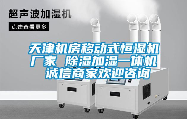 天津機房移動式恒濕機廠家 除濕加濕一體機 誠信商家歡迎咨詢