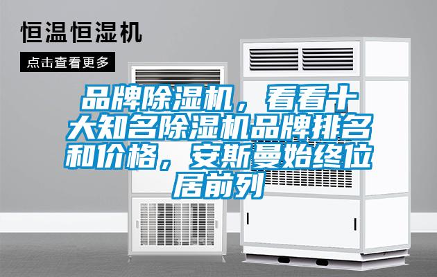 品牌除濕機，看看十大知名除濕機品牌排名和價格，安斯曼始終位居前列