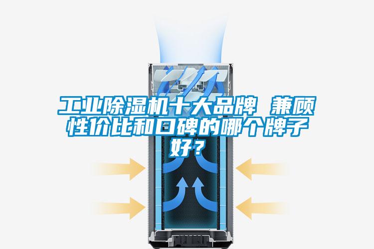 工業除濕機十大品牌 兼顧性價比和口碑的哪個牌子好？