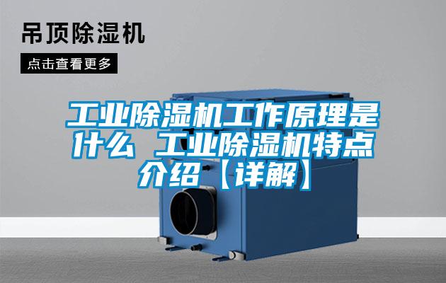 工業除濕機工作原理是什么 工業除濕機特點介紹【詳解】