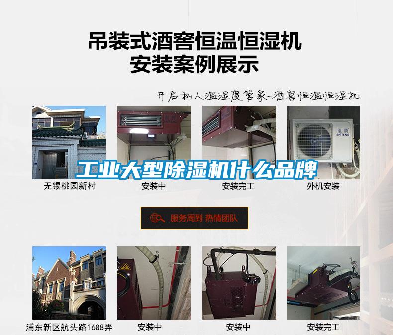 工業大型除濕機什么品牌