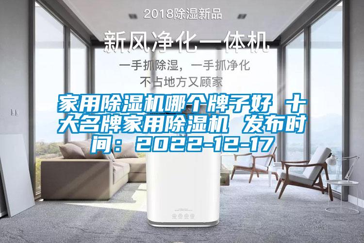 家用除濕機哪個牌子好 十大名牌家用除濕機 發布時間：2022-12-17