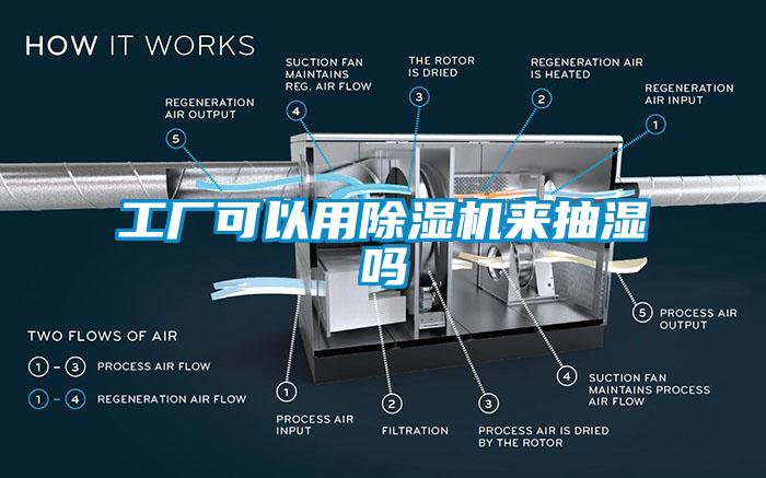 工廠可以用除濕機來抽濕嗎