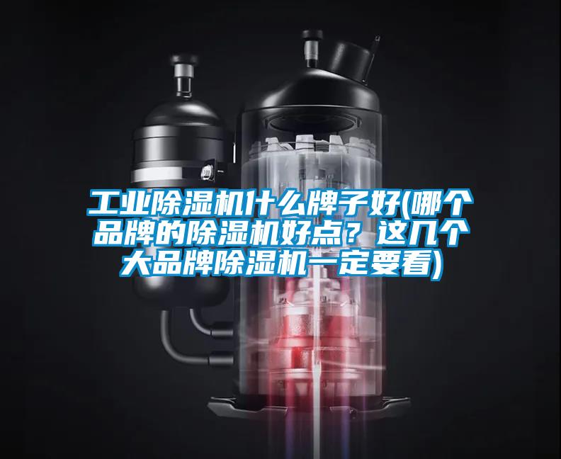 工業除濕機什么牌子好(哪個品牌的除濕機好點？這幾個大品牌除濕機一定要看)