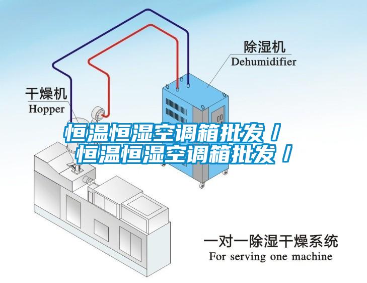 恒溫恒濕空調箱批發(fā)／ 恒溫恒濕空調箱批發(fā)／