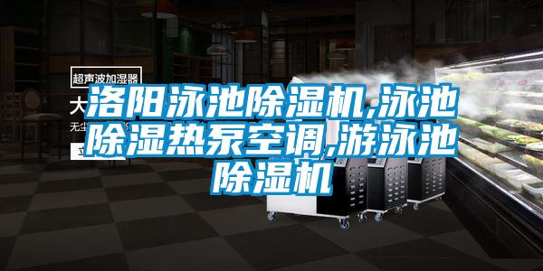 洛陽泳池除濕機,泳池除濕熱泵空調,游泳池除濕機