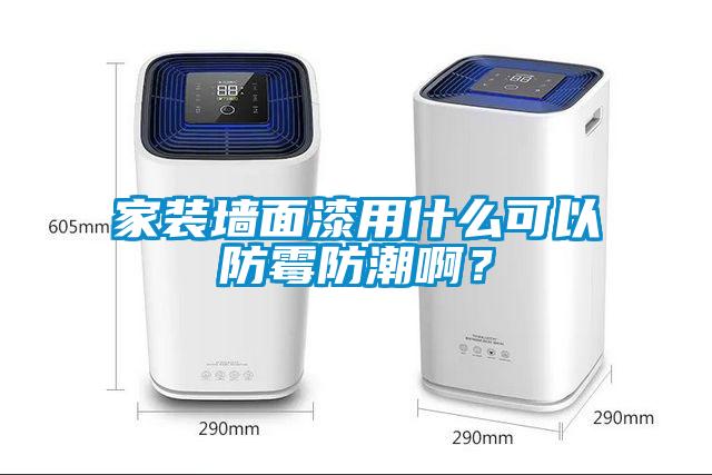 家裝墻面漆用什么可以防霉防潮啊？