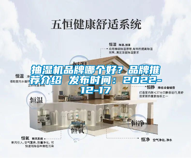 抽濕機品牌哪個好？品牌推薦介紹 發布時間：2022-12-17