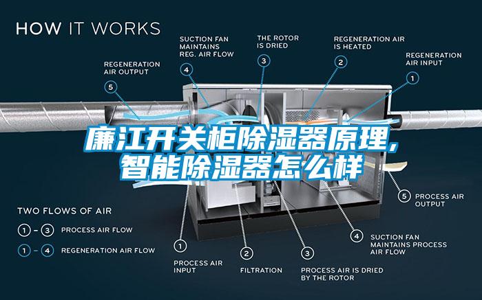 廉江開關柜除濕器原理,智能除濕器怎么樣