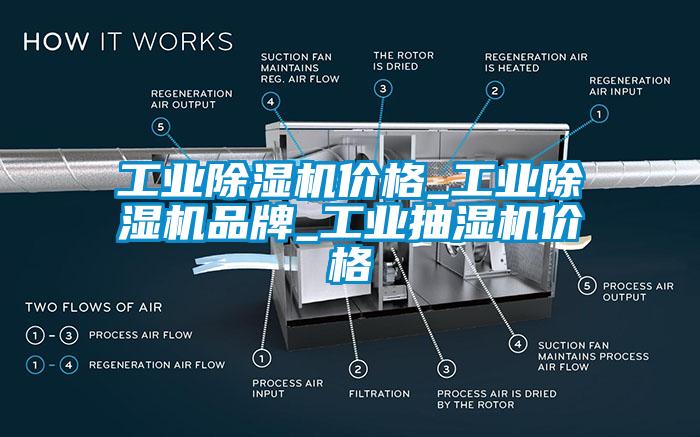 工業除濕機價格_工業除濕機品牌_工業抽濕機價格