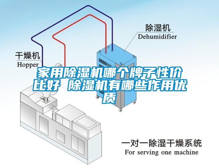 家用除濕機哪個牌子性價比好 除濕機有哪些作用優質