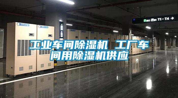 工業(yè)車間除濕機 工廠車間用除濕機供應(yīng)