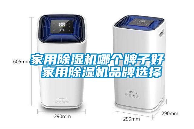 家用除濕機(jī)哪個(gè)牌子好 家用除濕機(jī)品牌選擇