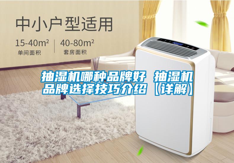 抽濕機哪種品牌好 抽濕機品牌選擇技巧介紹【詳解】