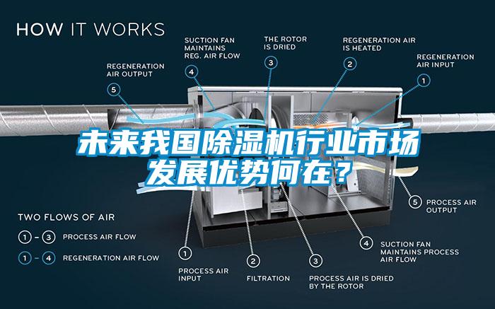 未來(lái)我國(guó)除濕機(jī)行業(yè)市場(chǎng)發(fā)展優(yōu)勢(shì)何在？