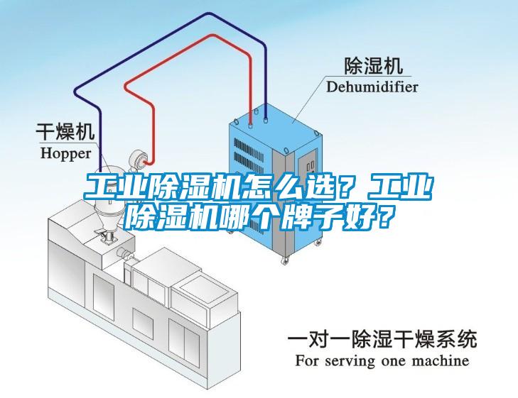 工業除濕機怎么選？工業除濕機哪個牌子好？