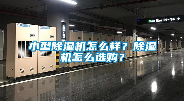 小型除濕機怎么樣？除濕機怎么選購？