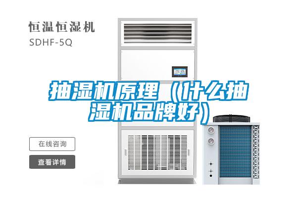 抽濕機原理（什么抽濕機品牌好）