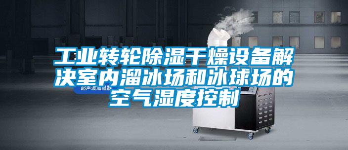 工業轉輪除濕干燥設備解決室內溜冰場和冰球場的空氣濕度控制