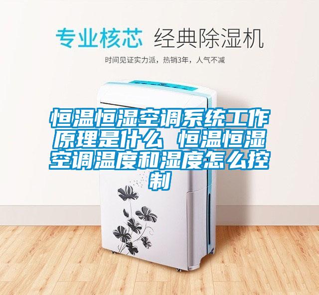 恒溫恒濕空調系統工作原理是什么 恒溫恒濕空調溫度和濕度怎么控制