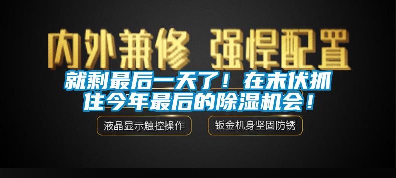 就剩最后一天了！在末伏抓住今年最后的除濕機會！