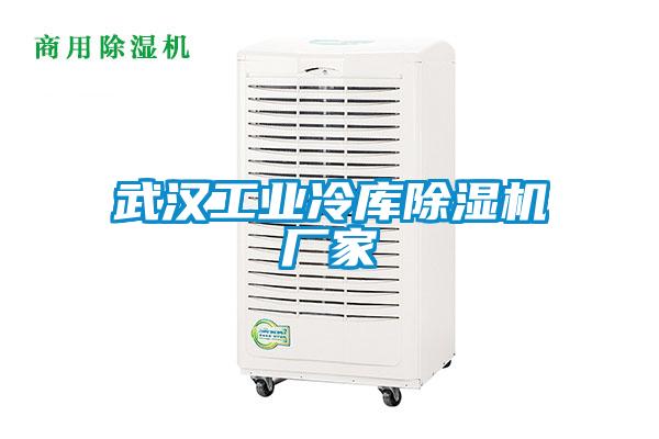 武漢工業冷庫除濕機廠家