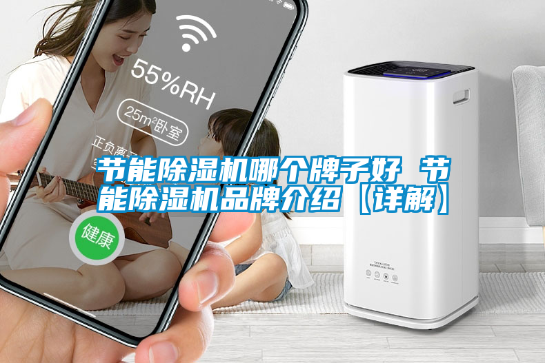 節能除濕機哪個牌子好 節能除濕機品牌介紹【詳解】