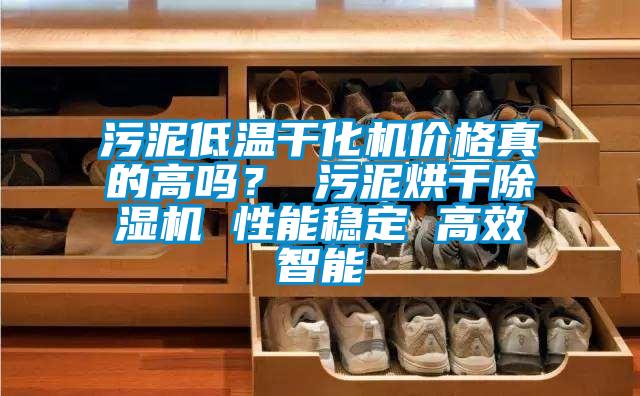 污泥低溫干化機價格真的高嗎？ 污泥烘干除濕機 性能穩定 高效智能