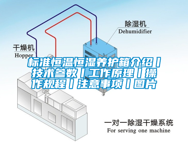 標準恒溫恒濕養護箱介紹丨技術參數丨工作原理丨操作規程丨注意事項丨圖片