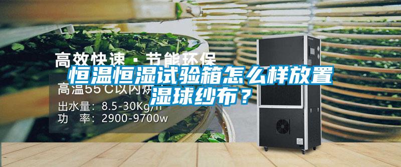 恒溫恒濕試驗箱怎么樣放置濕球紗布？