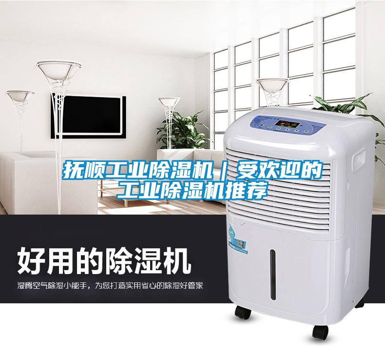 撫順工業除濕機｜受歡迎的工業除濕機推薦