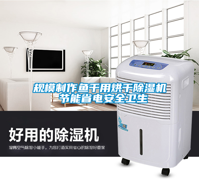 規模制作魚干用烘干除濕機 節能省電安全衛生