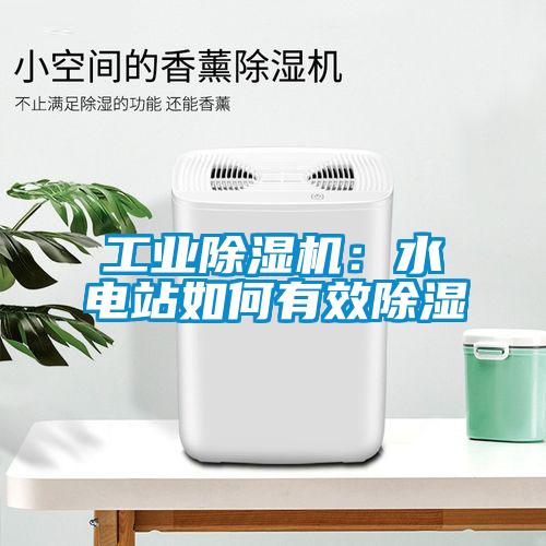 工業除濕機：水電站如何有效除濕