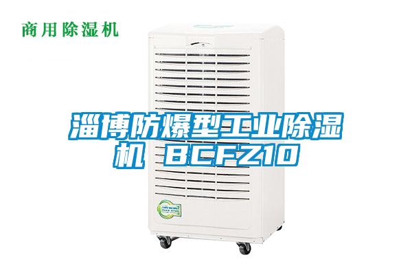 淄博防爆型工業除濕機 BCFZ10